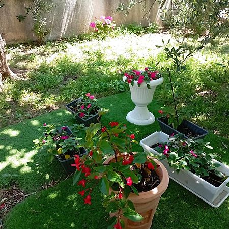 Apartmani Trubi 3 فوديس المظهر الخارجي الصورة