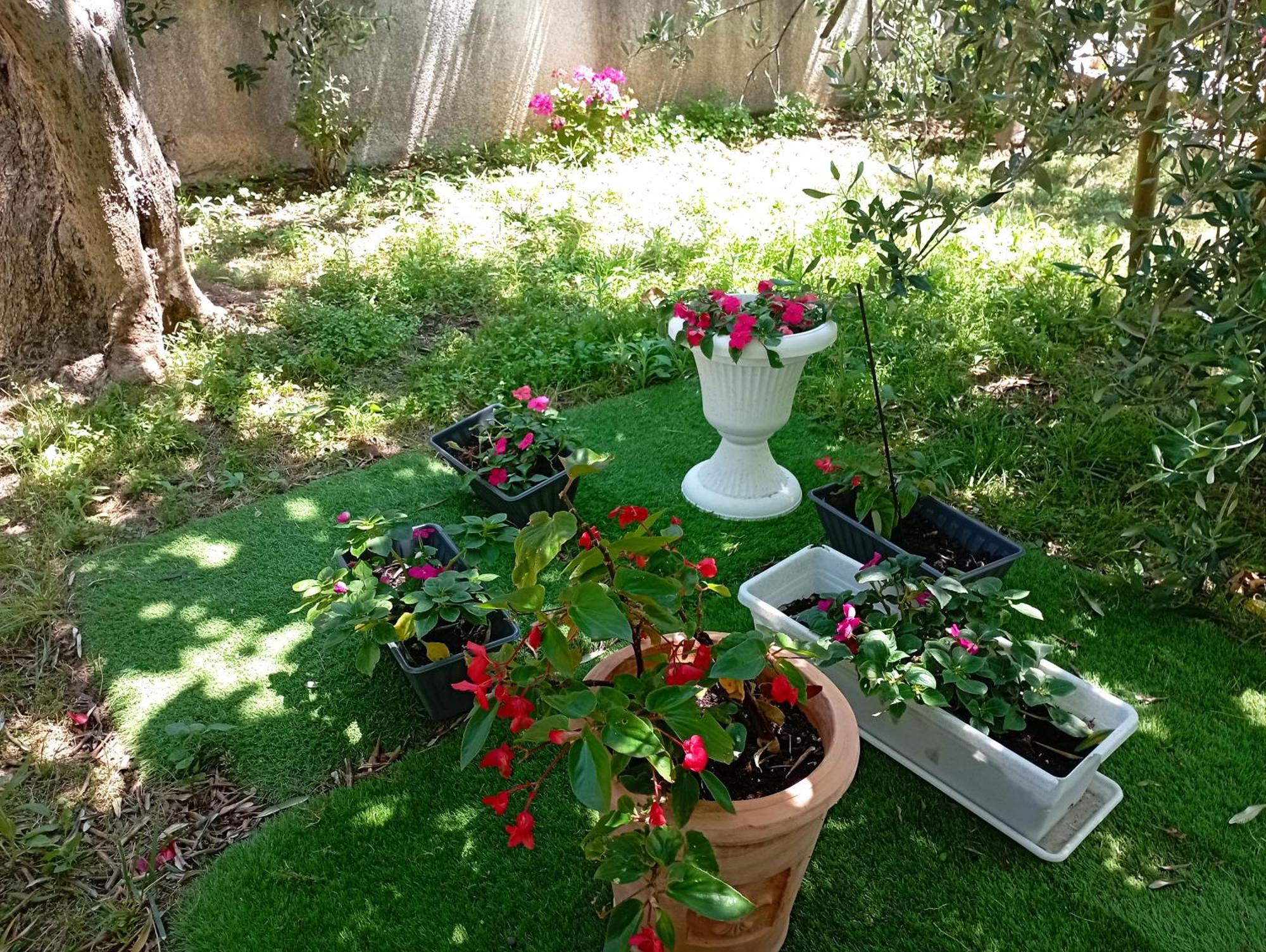 Apartmani Trubi 3 فوديس المظهر الخارجي الصورة
